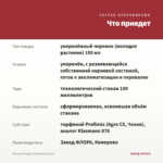 Петуния Peppy Yellow Red (0,1л) — что приедет