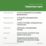 Петуния Петхоа BeautiCal Pearl White (0,1л) — параметры сорта