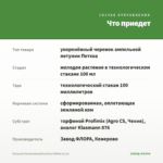Петуния Петхоа BeautiCal Pearl White (0,1л) — что приедет