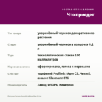Петуния Петхоа BeautiCal Rose Star (0,1л) — что приедет