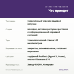 Петуния PIZZAZ Indigo (0,1л) — что приедет