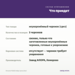 Петуния PIZZAZ Indigo (срезы/5шт) — что приедет