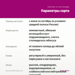 Петуния PIZZAZ Purple (0,1л) — параметры сорта