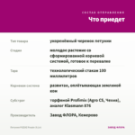 Петуния PIZZAZ Purple (0,1л) — что приедет