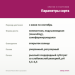 Петуния Potunia Neon (срезы/5шт) — параметры сорта