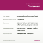 Петуния Potunia Neon (срезы/5шт) — что приедет