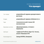 Петуния Potunia Piccola Blue Ice (0,1л) — что приедет