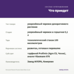 Петуния Potunia Piccola Cobalt Blue (0,1л) — что приедет