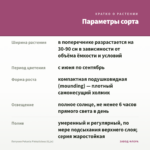 Петуния Potunia Pinkalicious (0,1л) — параметры сорта