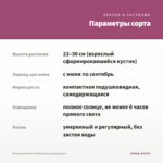 Петуния Potunia Pinkalicious (срезы/5шт) — параметры сорта