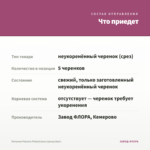 Петуния Potunia Pinkalicious (срезы/5шт) — что приедет