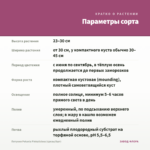 Петуния Potunia Pinkalicious (срезы/5шт) — параметры сорта