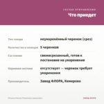 Петуния Potunia Pinkalicious (срезы/5шт) — что приедет