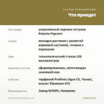 Петуния Potunia Popcorn (0,1л) — что приедет
