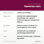 Петуния Potunia Purple (срезы/5шт) — параметры сорта
