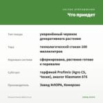 Петуния Potunia White (0,1л) — что приедет