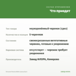 Петуния Potunia White (срезы/5шт) — что приедет