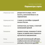Петуния Potunia Yellow (0,1л) — параметры сорта