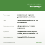 Петуния Presto White Imp. (0,1л) — что приедет