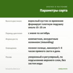 Петуния Ray Black (0,1л) — параметры сорта