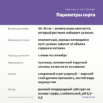 Петуния Ray Classic Blue (0,1л) — параметры сорта
