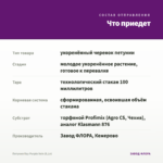 Петуния Ray Purple Vein (0,1л) — что приедет