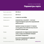 Петуния Ray Purple Vein (0,1л) — параметры сорта