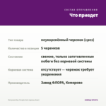 Петуния Ray Purple Vein (срезы/5шт) — что приедет