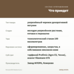 Петуния RAY Shadow (0,1л.) — что приедет