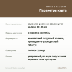 Петуния RAY Shadow (срезы/5шт) — параметры сорта