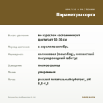 Петуния Ray Sunflower Imp (0,1л) — параметры сорта