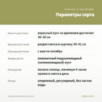 Петуния Ray Sunshine Imp.(0,1л) — параметры сорта