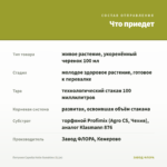 Петуния Сapella Hello Sunshine (0,1л) — что приедет