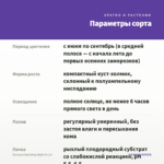Петуния Sparkling Night (0,1л) — параметры сорта