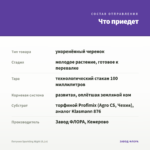 Петуния Sparkling Night (0,1л) — что приедет