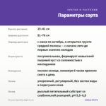 Петуния Sparkling Night (0,1л) — параметры сорта