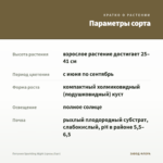 Петуния Sparkling Night (срезы/5шт) — параметры сорта