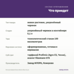 Петуния Splash Dance Bolero Blue (0,1л) — что приедет