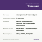 Петуния Splash Dance Bolero Blue (срезы/5шт) — что приедет