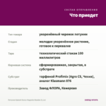Петуния Splash Dance Magenta Mambo (0,1л) — что приедет