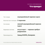 Петуния Splash Dance Magenta Mambo (срезы/5шт) — что приедет