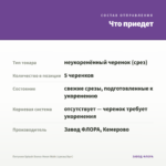 Петуния Splash Dance Moon Walk (срезы/5шт) — что приедет