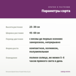 Петуния Splash Dance Purple Polka (0,1л) — параметры сорта
