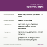 Петуния Splash Dance Purple Polka (срезы/5шт) — параметры сорта