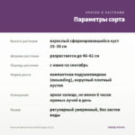 Петуния Splash Dance Violet Vogue (0,1л) — параметры сорта