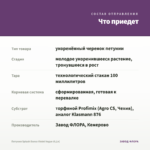 Петуния Splash Dance Violet Vogue (0,1л) — что приедет