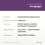 Петуния Splash Dance Violet Vogue (срезы/5шт) — что приедет