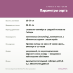 Петуния Supertunia Mini Vista Pink Star (срезы/5шт) — параметры сорта