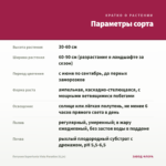 Петуния Supertunia Vista Paradise (0,1л) — параметры сорта