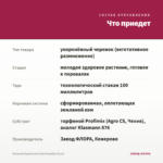 Петуния Supertunia Vista Paradise (0,1л) — что приедет